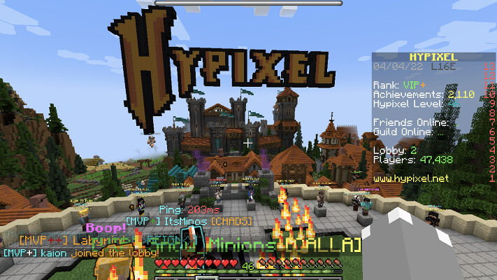 Minecraft Server Picture